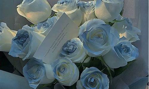 男生送女生碎冰蓝玫瑰代表什么_男生送女生碎冰蓝玫瑰代表什么意思